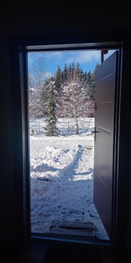 Domki Brzozówka w Bieszczadach Ustrzyki Dolne Exterior foto