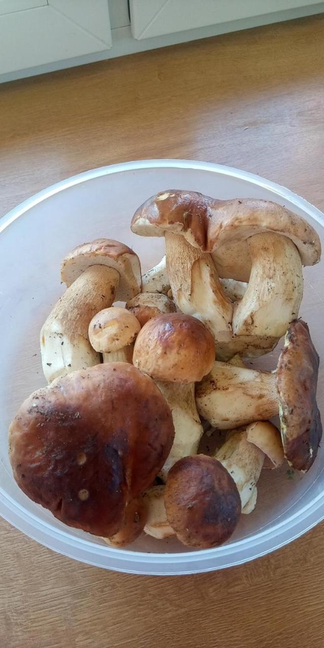 Domki Brzozówka w Bieszczadach Ustrzyki Dolne Exterior foto