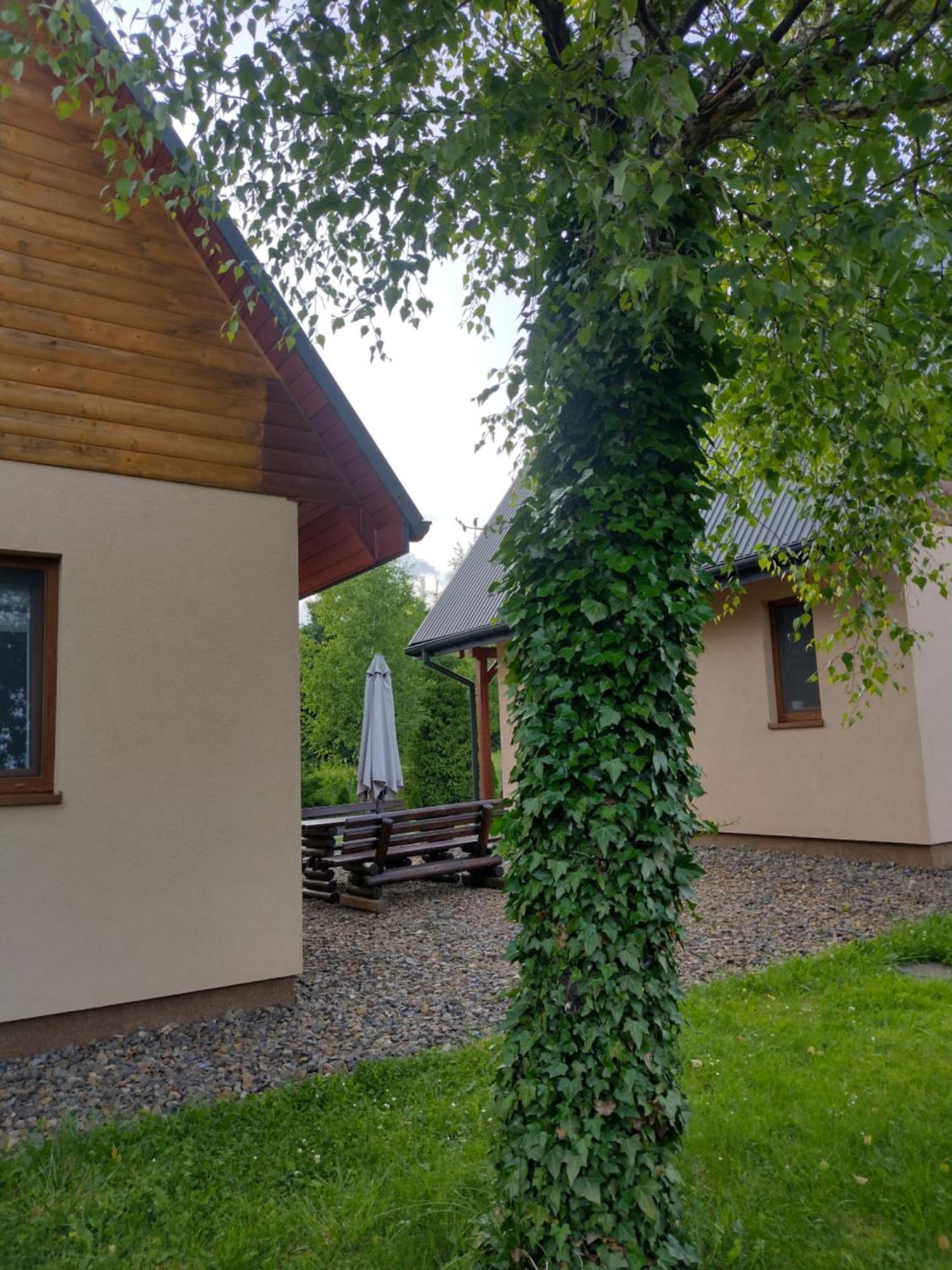 Domki Brzozówka w Bieszczadach Ustrzyki Dolne Exterior foto