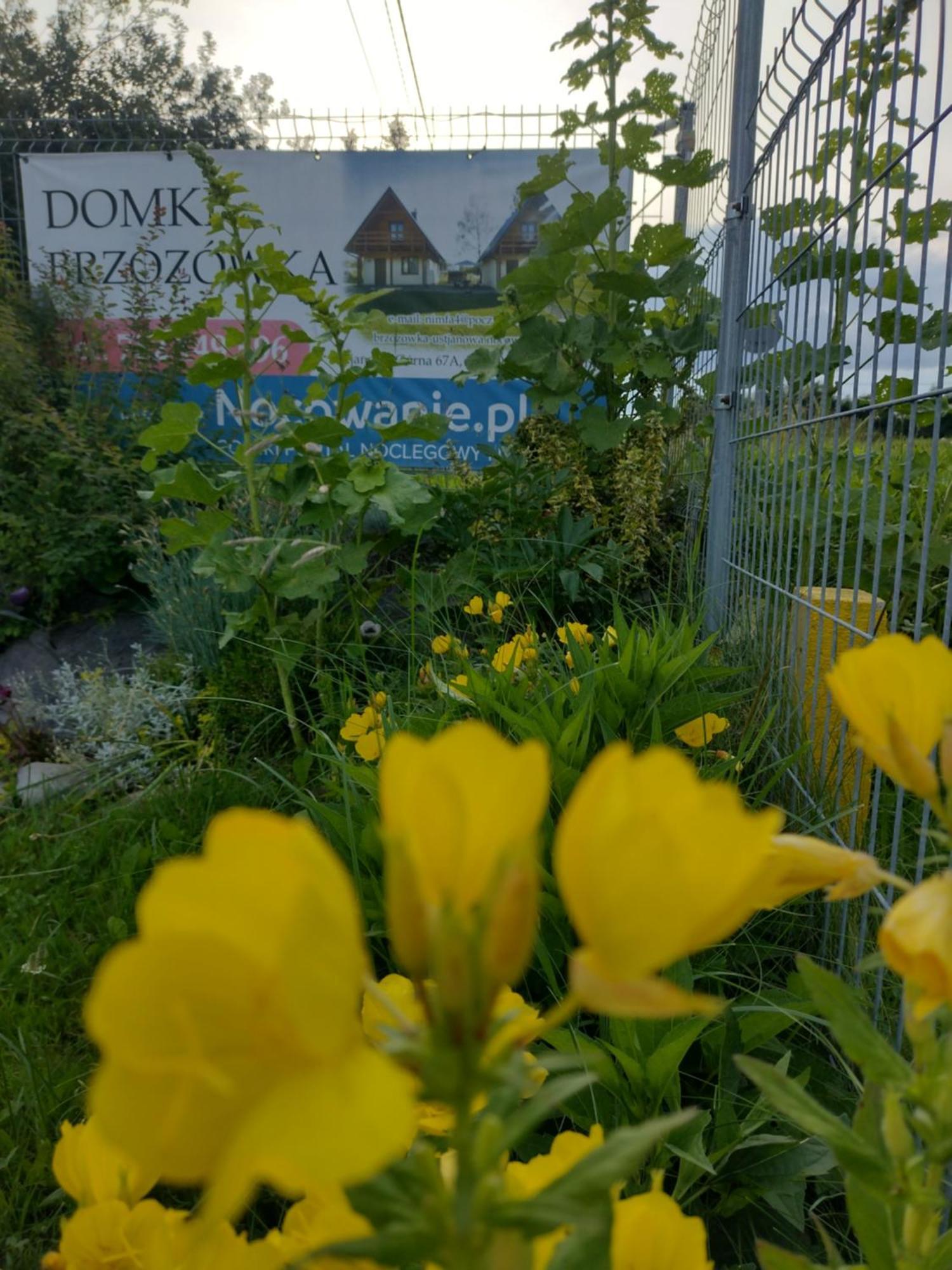Domki Brzozówka w Bieszczadach Ustrzyki Dolne Exterior foto